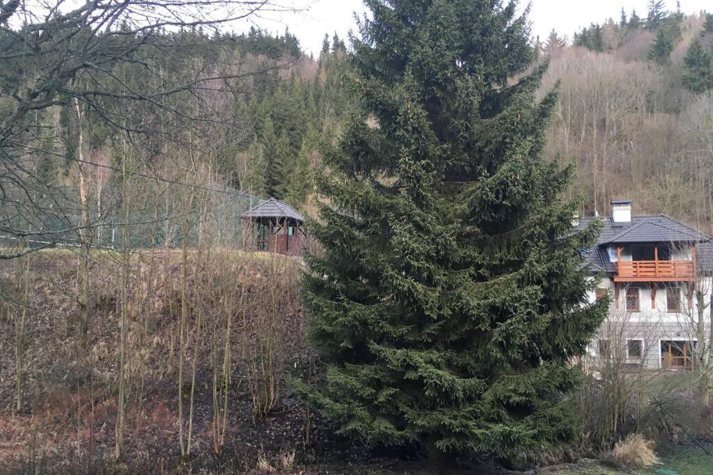 Villa Vykmanov Medenec Luaran gambar